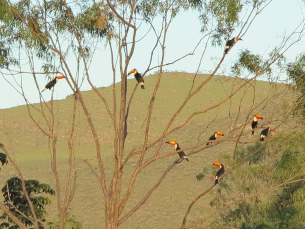 Pousada Recanto Da Grande Paz Alto Paraíso de Goiás Exteriér fotografie